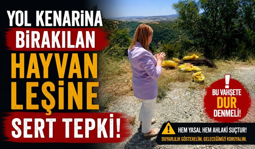 BAŞKAN TEKİN'DEN YOL KENARINA BIRAKILAN HAYVAN LEŞİNE SERT TEPKİ