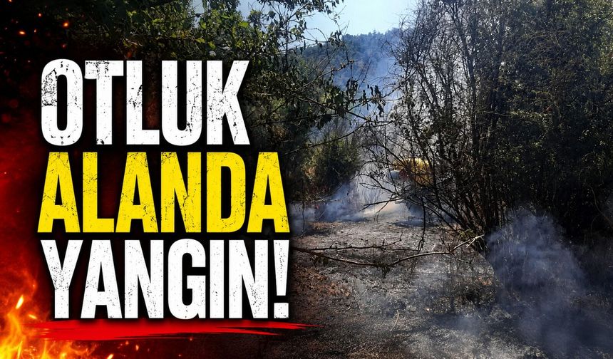 OTLUK ALANDA YANGIN ÇIKTI