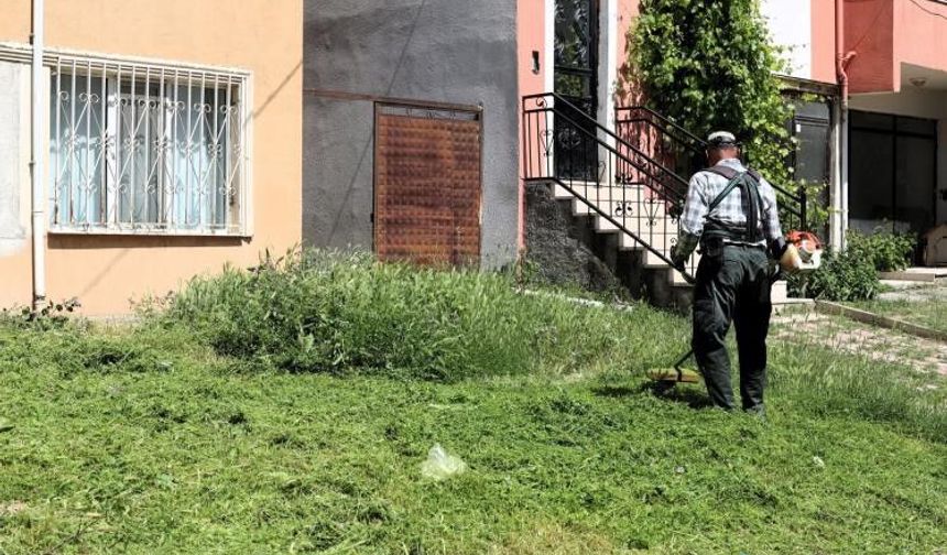 SÖĞÜT'TE ÇİM BİÇME VE İLAÇLAMA ÇALIŞMALARI ARALIKSIZ DEVAM EDİYOR
