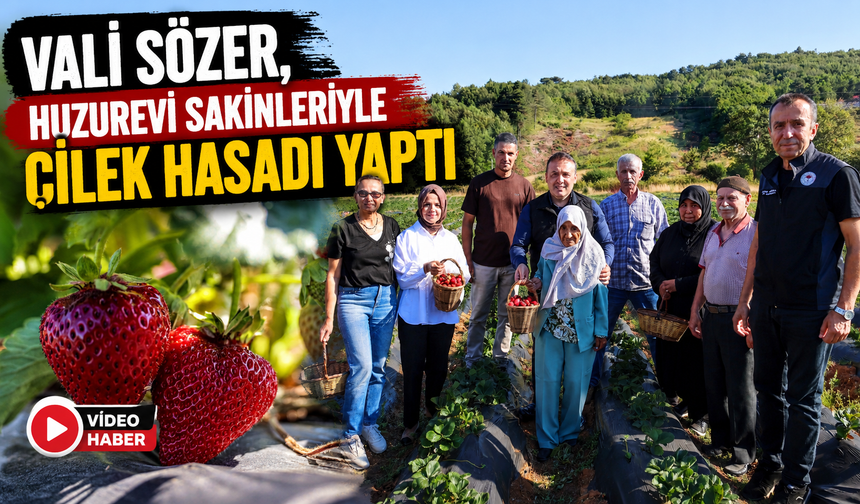 VALİ SÖZER, HUZUREVİ SAKİNLERİYLE ÇİLEK HASADI YAPTI