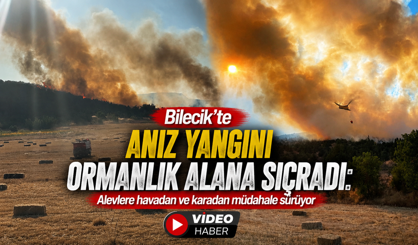 BİLECİK’TE ANIZ YANGINI ORMANLIK ALANA SIÇRADI: ALEVLERE HAVADAN VE KARADAN MÜDAHALE SÜRÜYOR