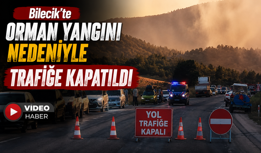 O KARAYOLU ORMAN YANGINI NEDENİYLE TRAFİĞE KAPATILDI, YAZ