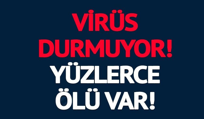 KONGO'DA EBOLA SALGINI HIZLA YAYILIYOR