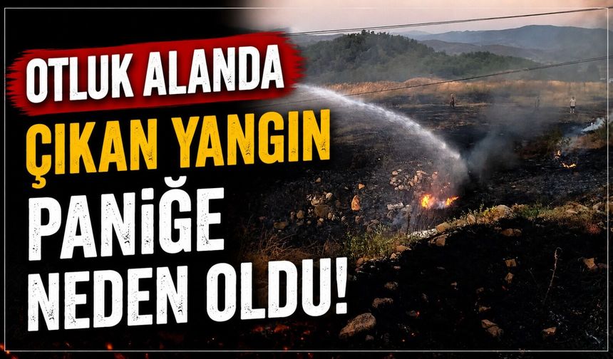 OTLUK ALANDA ÇIKAN YANGIN PANİĞE NEDEN OLDU