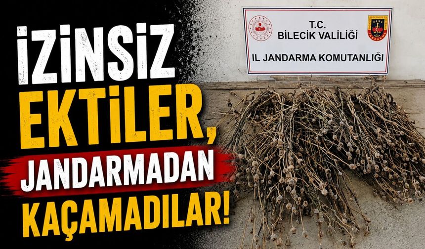İZİNSİZ EKİLEN 136 KÖK HAŞHAŞ ELE GEÇİRİLDİ