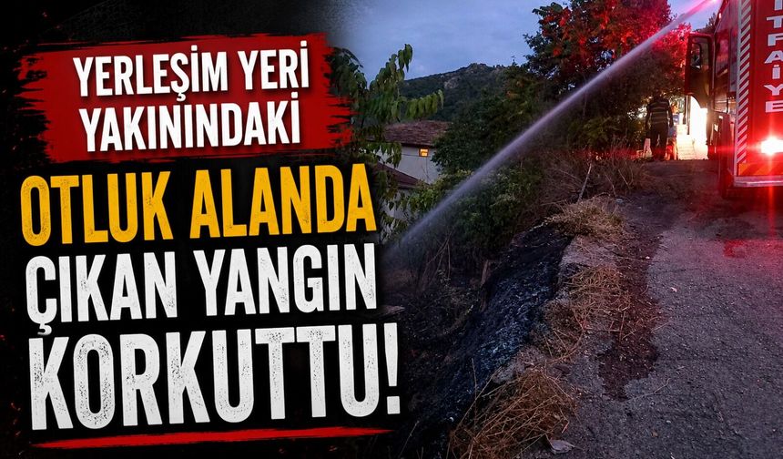 YERLEŞİM YERİ YAKININDAKİ OTLUK ALANDA ÇIKAN YANGIN KORKUTTU