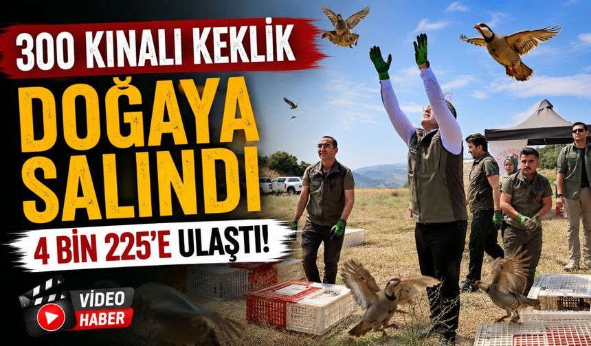 300 KINALI KEKLİK DOĞAYA SALINDI