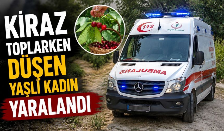KİRAZ TOPLARKEN DÜŞEN YAŞLI KADIN YARALANDI