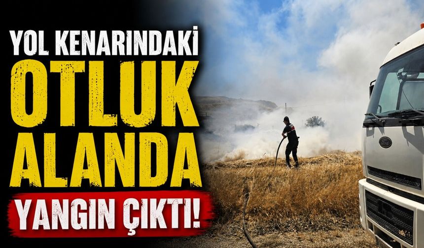 YOL KENARINDAKİ OTLUK ALANDA YANGIN ÇIKTI