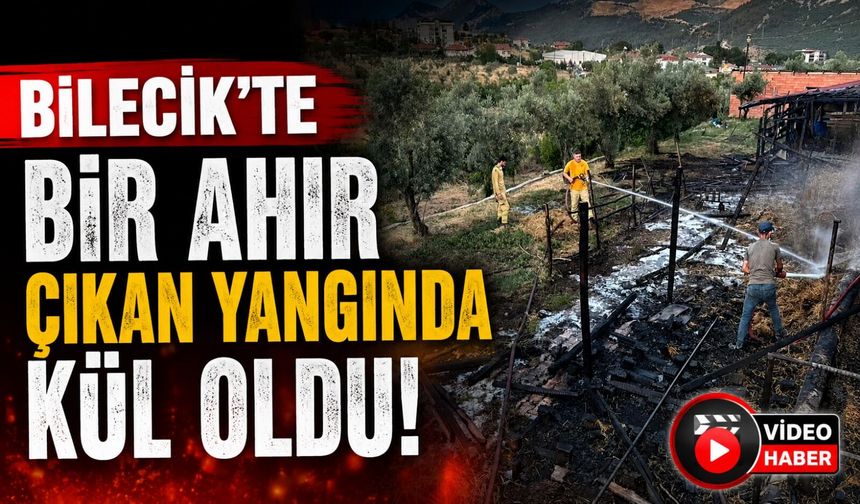BİLECİK'TE BİR AHIR ÇIKAN YANGINDA KÜL OLDU