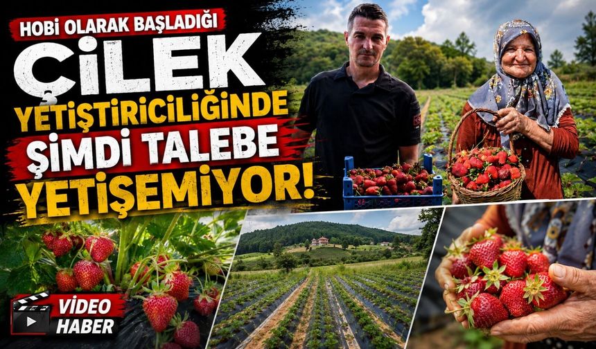 HOBİ OLARAK 2 DÖNÜMDE BAŞLADI, ÜRETİMİ ŞİMDİ 42 DÖNÜME ÇIKTI