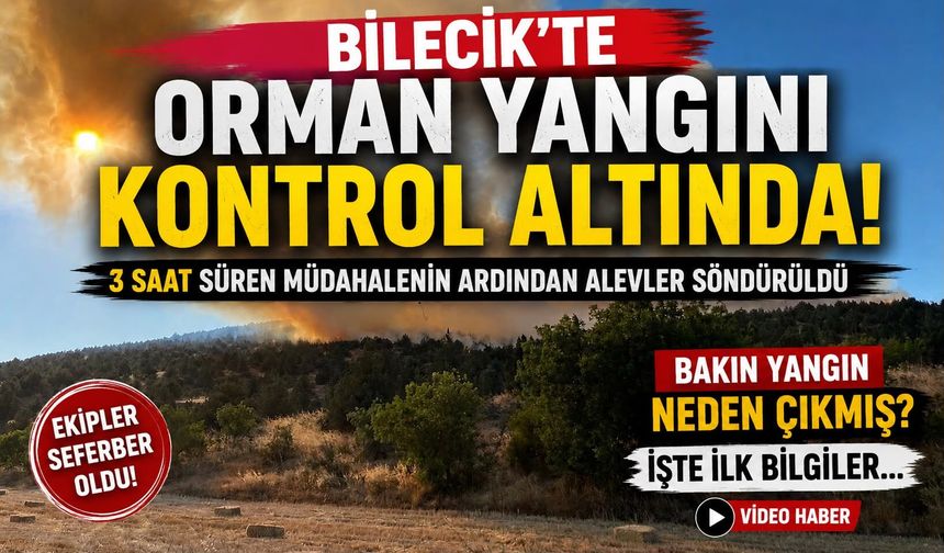 BİLECİK’TEKİ ORMAN YANGINI 3 SAATİN ARDINDAN KONTROL ALTINA ALINDI