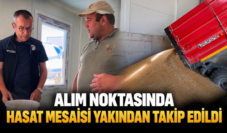 TMO ALIM NOKTASINDA HASAT MESAİSİ YAKINDAN TAKİP EDİLDİ