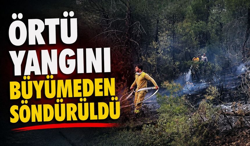 ÖRTÜ YANGINI BÜYÜMEDEN SÖNDÜRÜLDÜ