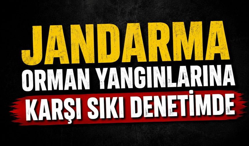 BİÇERDÖVERLER JANDARMA DENETİMİNDEN GEÇTİ