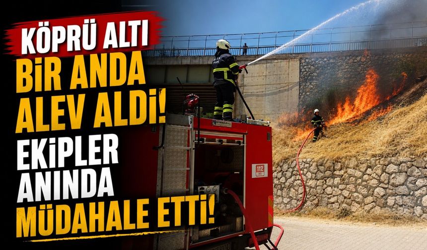 HAMSU KÖPRÜSÜ’NDE ÇIKAN YANGIN SÖNDÜRÜLDÜ