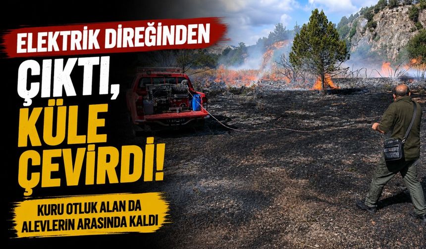 ELEKTRİK DİREĞİNDEN KAYNAKLI YANGIN 3 DÖNÜMLÜK ALANI KÜLE ÇEVİRDİ