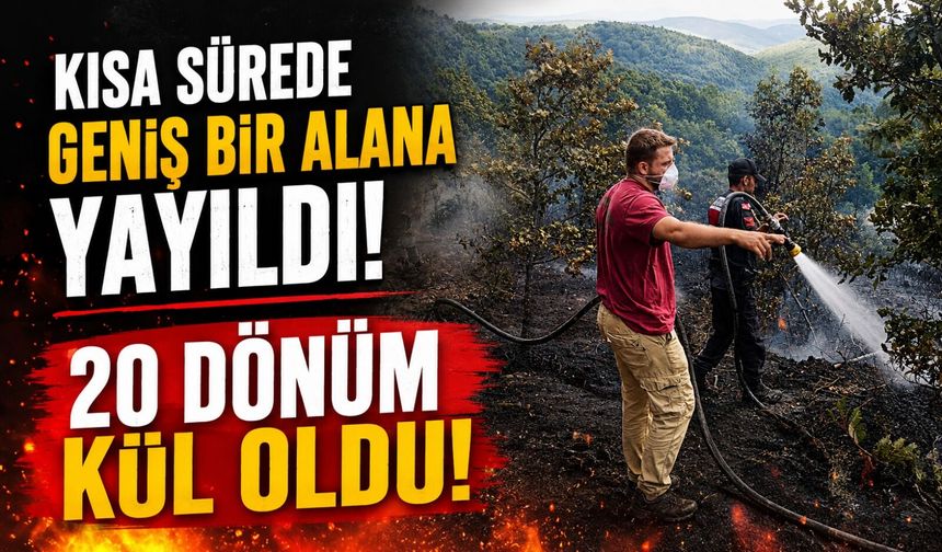 20 DÖNÜMLÜK ALANDA KORKUTAN YANGIN