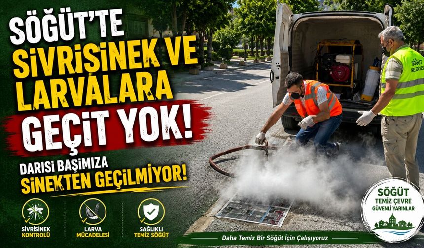 BİLECİK'TE SİVRİSİNEK VE LARVALARA GEÇİT YOK