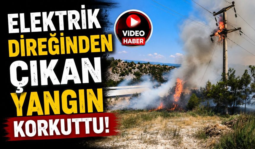 ELEKTRİK DİREĞİNDEN ÇIKAN YANGIN KORKUTTU