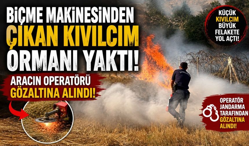 BİÇME MAKİNESİNDEN ÇIKAN KIVILCIM ORMANI YAKTI, ARACIN OPERATÖRÜ GÖZALTINA ALINDI