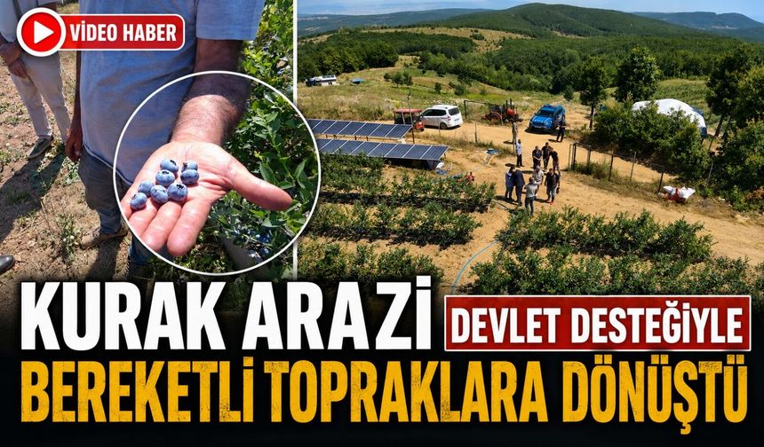 KURAK ARAZİ DEVLET DESTEĞİYLE BEREKETLİ TOPRAKLARA DÖNÜŞTÜ