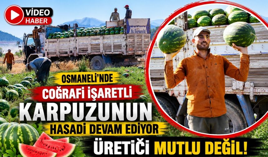 MEVSİMLİK İŞÇİLERİN KARPUZ MESAİSİ