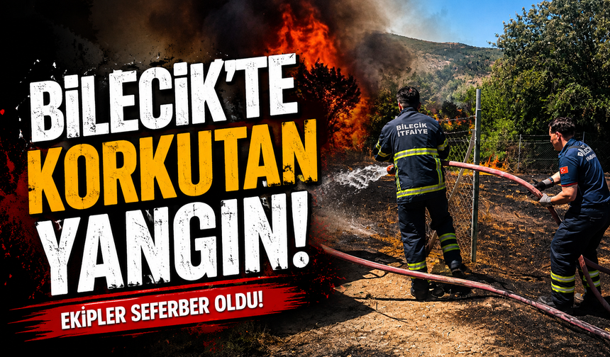 OTLUK ALANDAKİ YANGIN ORMANA SIÇRAMADAN SÖNDÜRÜLDÜ