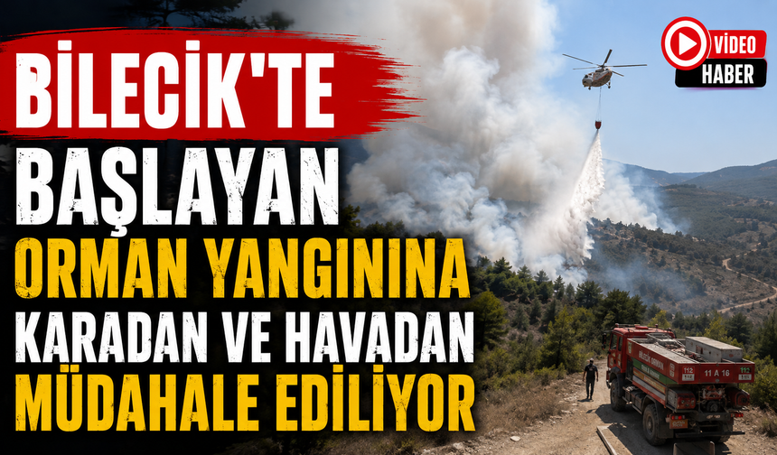 BİLECİK'TE BAŞLAYAN ORMAN YANGININA KARADAN VE HAVADAN MÜDAHALE EDİLİYOR