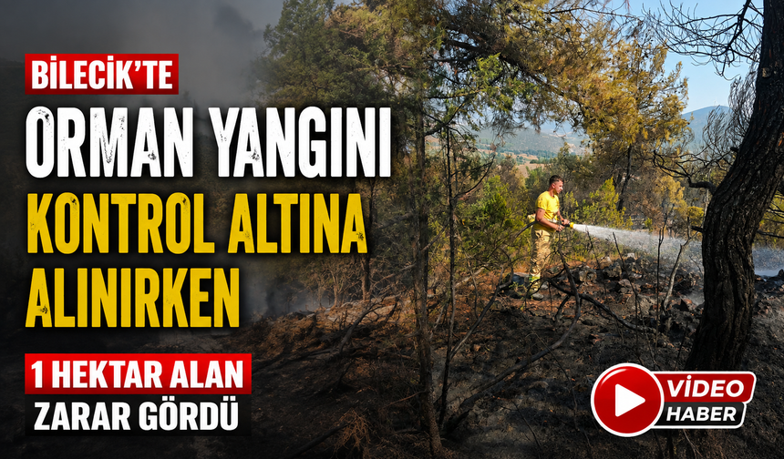 BİLECİK'TE ORMAN YANGINI KONTROL ALTINA ALINIRKEN, 1 HEKTAR ALAN ZARAR GÖRDÜ