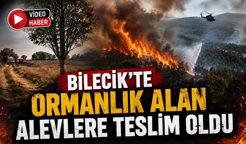 ORMANLIK ALANDAKİ YANGIN KONTROL ALTINA ALINDI