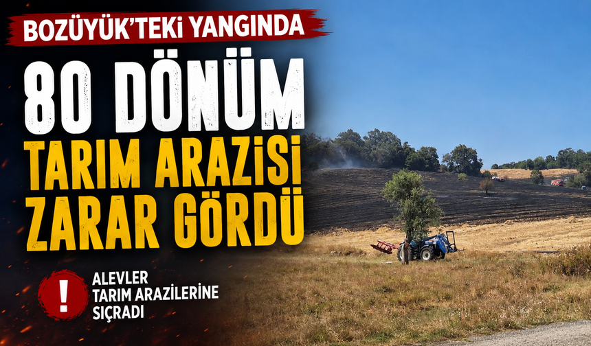BOZÜYÜK'TEKİ YANGINDA 80 DÖNÜM TARIM ARAZİSİ ZARAR GÖRDÜ