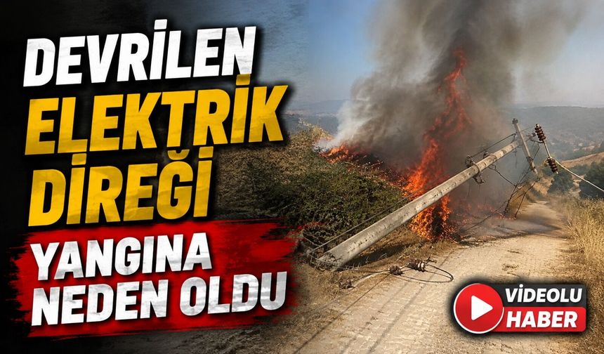 DEVRİLEN ELEKTRİK DİREĞİ YANGINA NEDEN OLDU