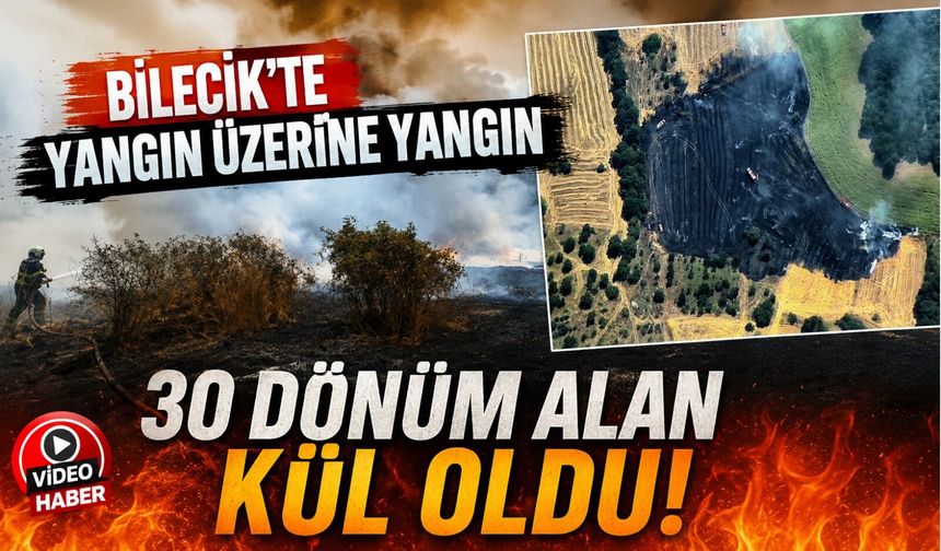 BİLECİK'TE ÇIKAN YANGINDA 30 DÖNÜMLÜK HASADI YAPILMIŞ BUĞDAY TARLASI KÜL OLDU