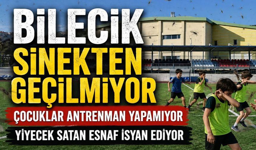 İSTASYON SENTETİK SAHA MEVKİİ SİNEKTEN GEÇİLMİYOR
