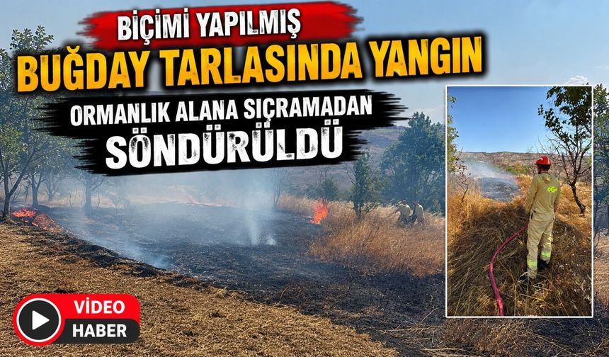BİÇİMİ YAPILMIŞ BUĞDAY TARLASINDA YANGIN