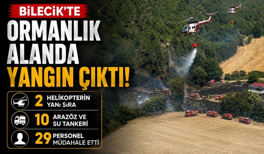BİLECİK'TE ORMANLIK ALANDA YANGIN ÇIKTI