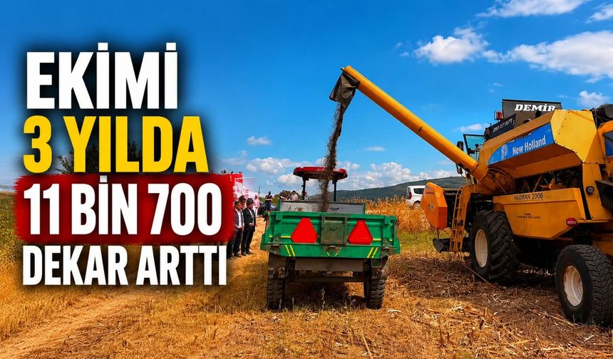 AYÇİÇEĞİ EKİMİ 3 YILDA 11 BİN 700 DEKAR ARTTI