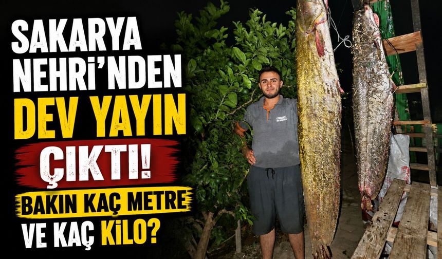 SAKARYA NEHRİ'NDEN 34 KİLOLUK DEV YAYIN ÇIKTI
