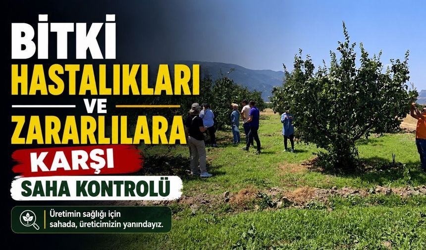 BİTKİ HASTALIKLARI VE ZARARLILARA KARŞI SAHA KONTROLÜ