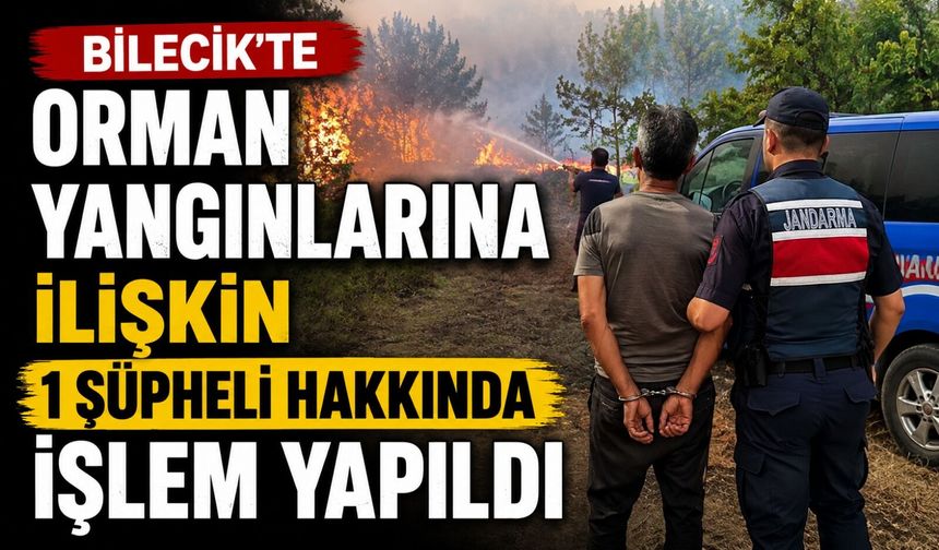 BİLECİK'TE ORMAN YANGINLARINA İLİŞKİN 1 ŞÜPHELİ HAKKINDA İŞLEM YAPILDI