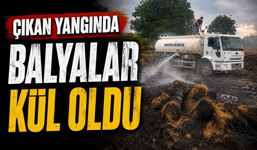 BİLECİK’TE ÇIKAN YANGINDA BALYALAR KÜL OLDU