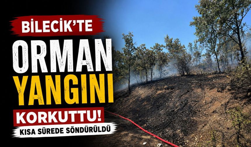 BİLECİK'TE ORMAN YANGINI KORKUTTU