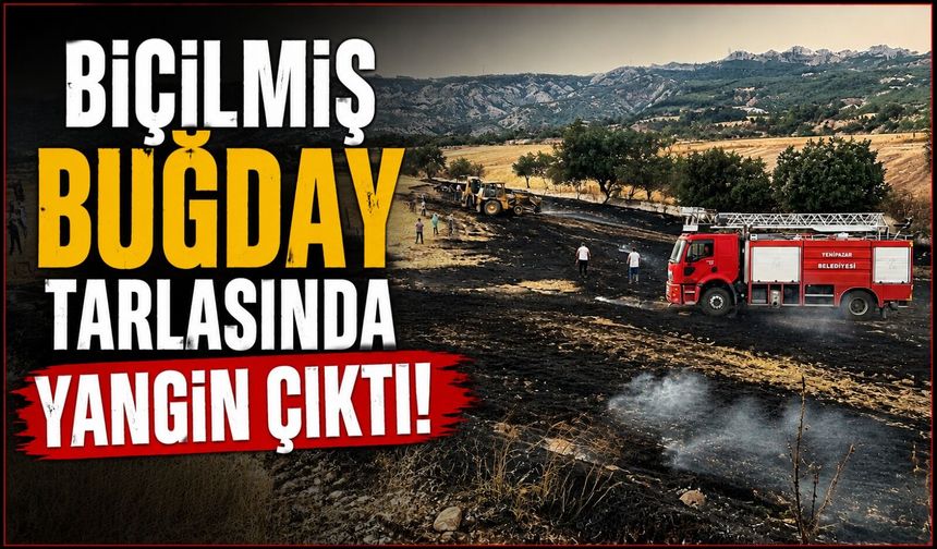 BİÇİLMİŞ BUĞDAY TARLASINDA YANGIN ÇIKTI