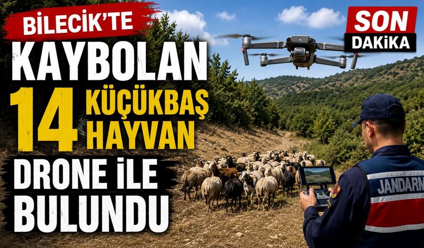 KAYBOLAN 14 KÜÇÜKBAŞ HAYVAN DRONE İLE BULUNDU