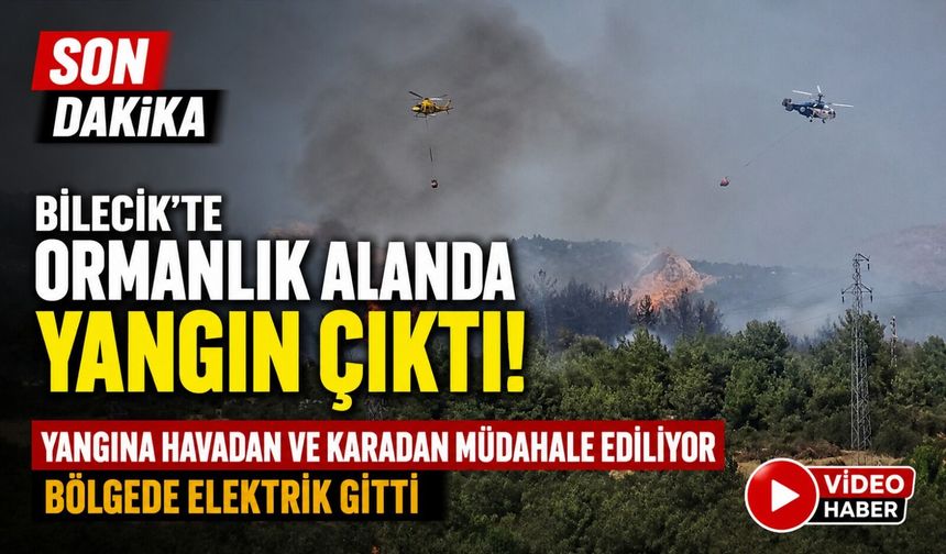 BİLECİK'TE ORMANLIK ALANDA YANGIN BAŞLADI