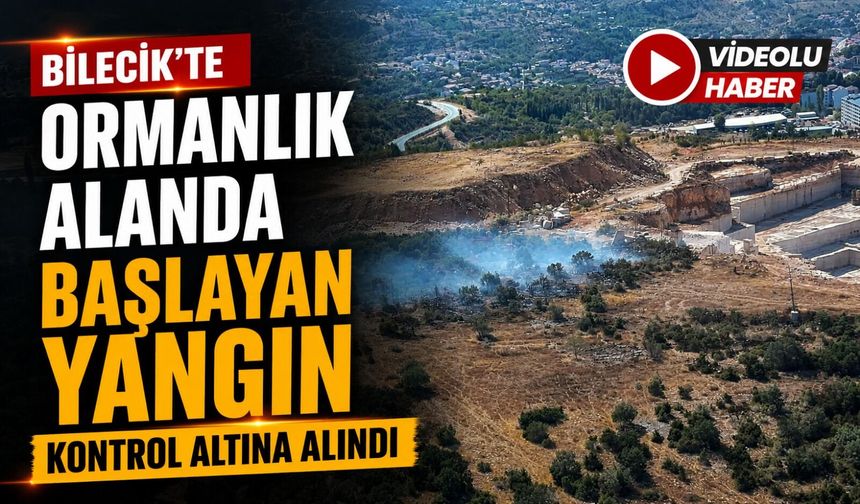 ORMANLIK ALANDA BAŞLAYAN YANGIN KONTROL ALTINA ALINDI