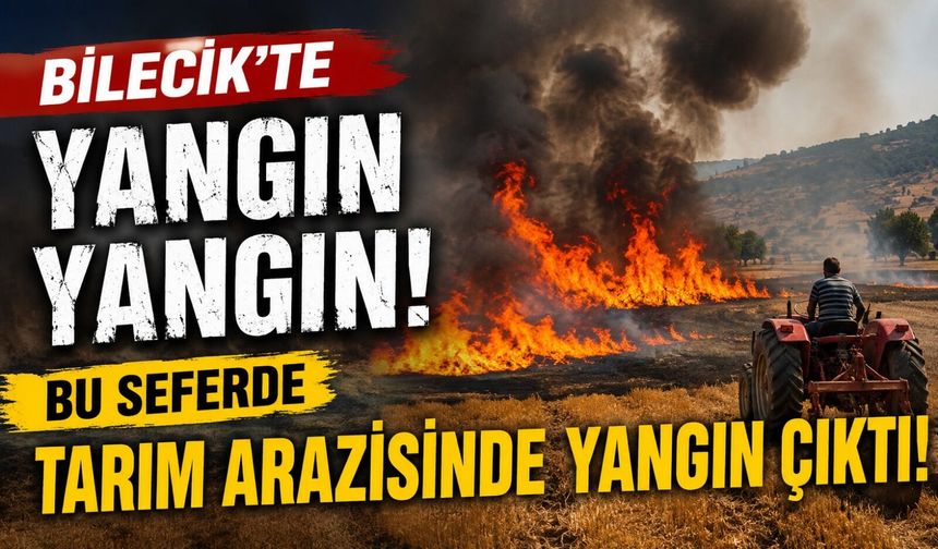 BOZÜYÜK'TE TARIM ARAZİSİNDE YANGIN ÇIKTI