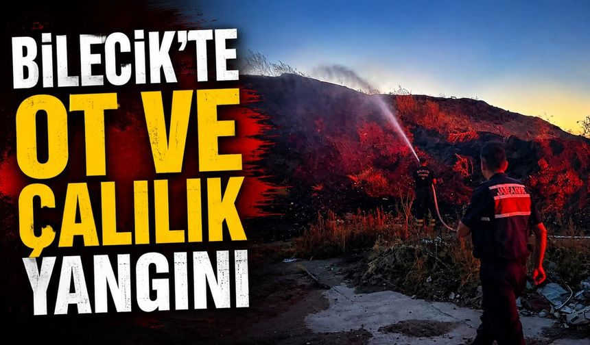 BİLECİK’TE OT VE ÇALILIK YANGINI