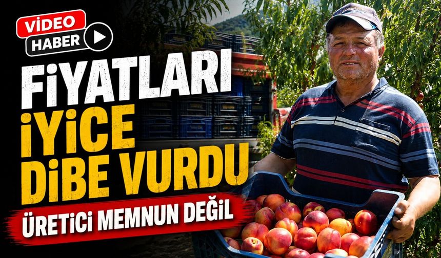 MEYVE SUYU FABRİKALARI ÜRETİCİDEN ALDIKLARI ÜRÜNÜN FİYATLARI İYİCE DİBE VURDU